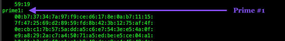 openssl-rsa-in-privkey3-prime1-WEB.png openssl-rsa-in-privkey3-prime1-WEB.png