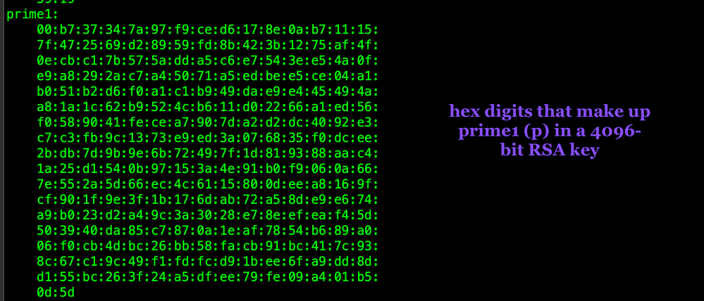 openssl-rsa-in-privkey10-prime1-WEB.png openssl-rsa-in-privkey10-prime1-WEB.png