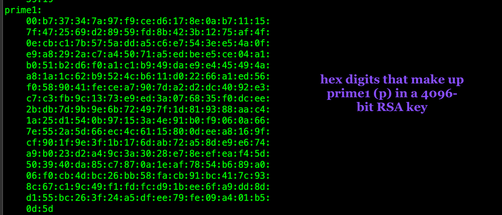 openssl-rsa-in-privkey10-prime1-WEB.png