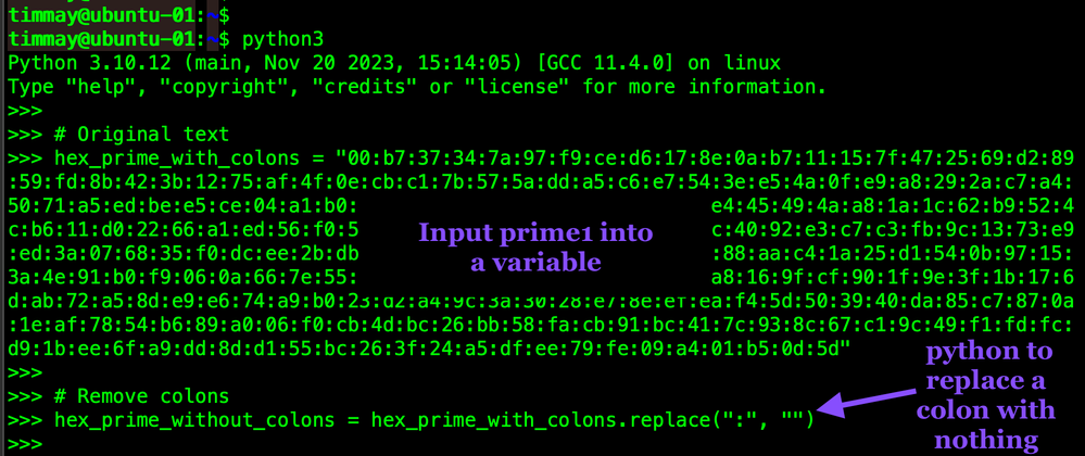 python1-hex-rm-colons-WEB.png python1-hex-rm-colons-WEB.png