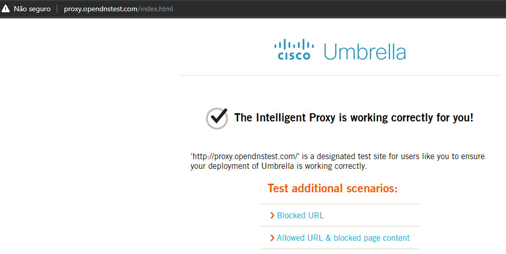 Intelligent Proxy - em funcionamento