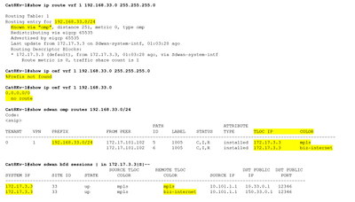 sd-wan.omp.verifications.png