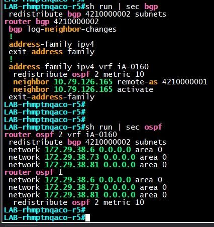 2024-07-26 10_05_07-LAB-rhmptnqaco-r5 - SecureCRT.jpg