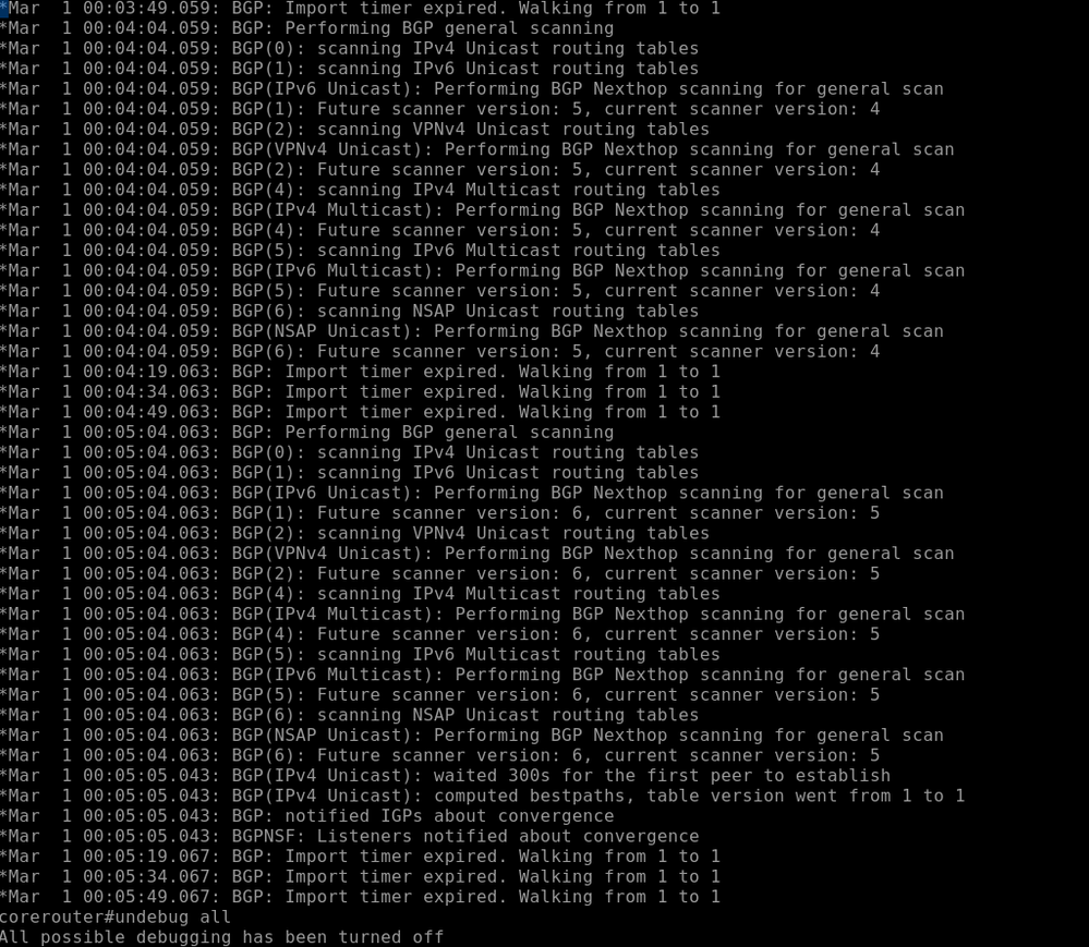 DEBUG BGP.PNG