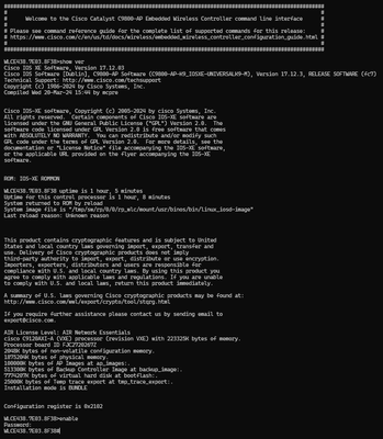 IsaiRoa_1-1724379408287.png