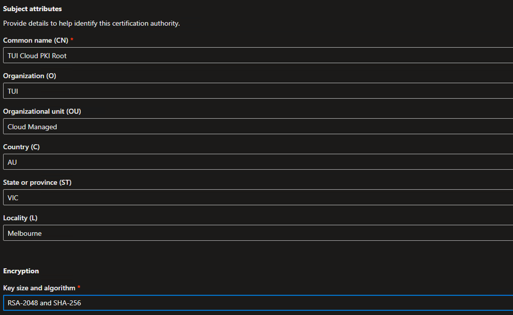 cloud pki creation config settings 2.png