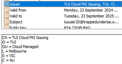 cloud user cert issuer.png