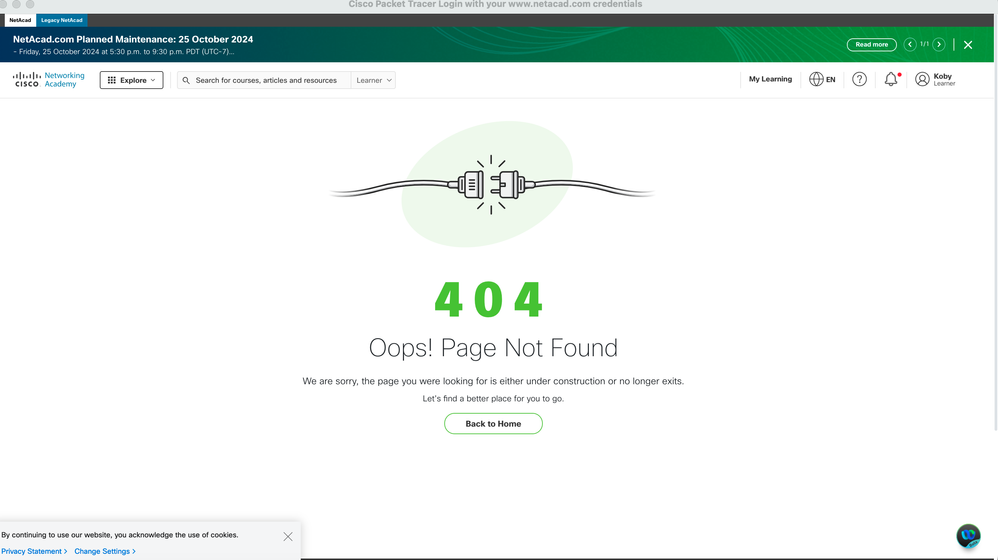 Screenshot 2024-10-24 at 4.56.15 pm.png