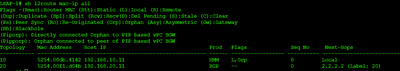 shados_6-1745779452955.png