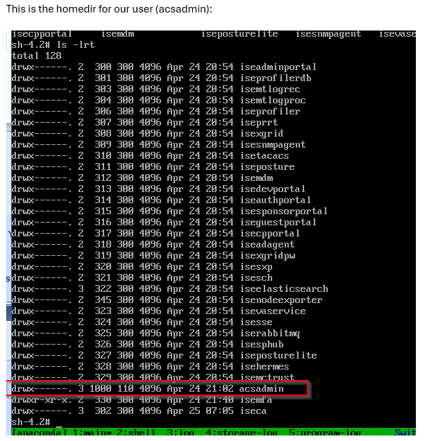 ISE GUI not loading after upgrade to 3.3 Patch 4 - Homedir.png
