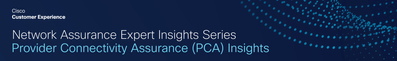 Provider Connectivity Assurance (PCA) Insights-13.png