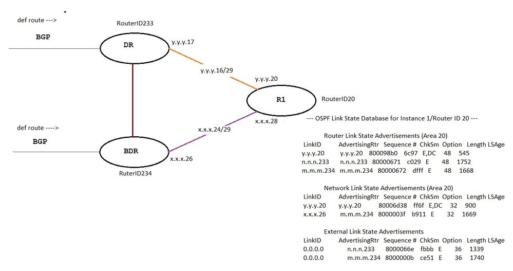 OSPF.jpg