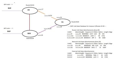 OSPF.jpg