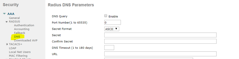 radius dns.png