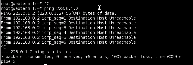 Ping_WAN_WEBTERM.PNG