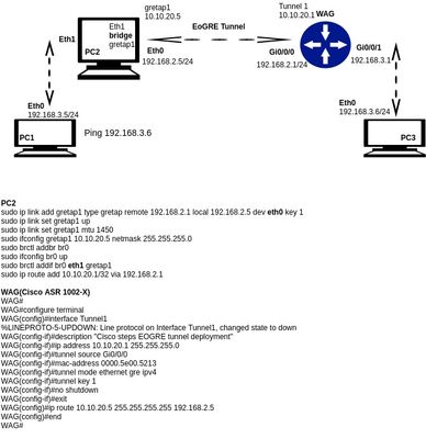 WAG_SETUP_1.jpg