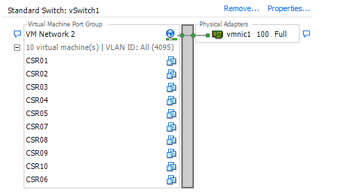 vSwitch.PNG
