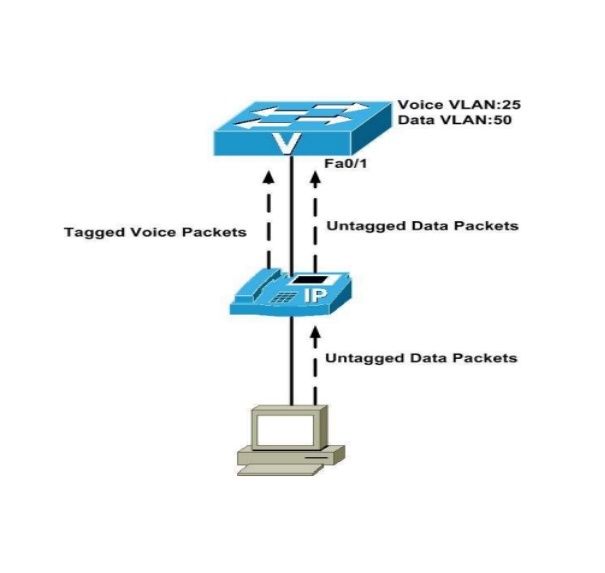 CCNAVOICE3.5.jpg