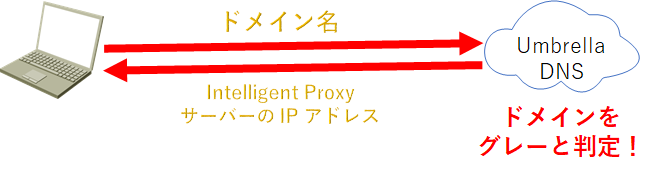 pic1.png pic1.png