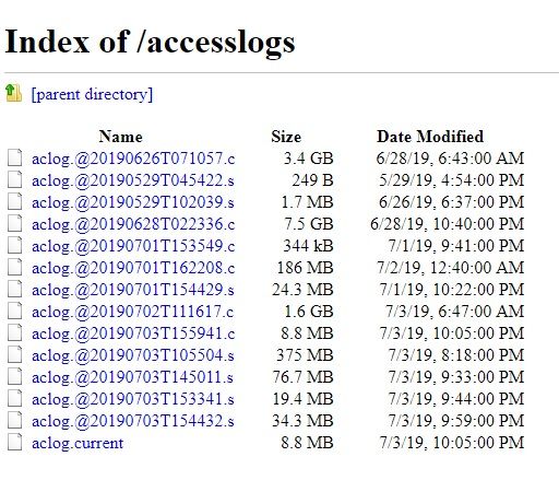 Access logs3.jpg