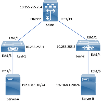 VXLAN BGP EVPN laboratorio diagrama.png