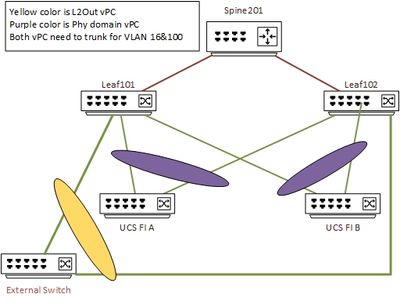 Phy domain and L2Out.jpg