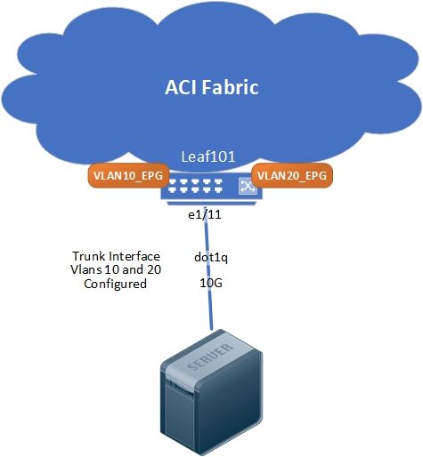 ACI-TrunkInt-ClassicalView.jpg