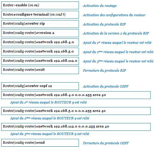 ROUTEUR 9_1.JPG