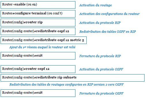 ROUTEUR 10_2.JPG