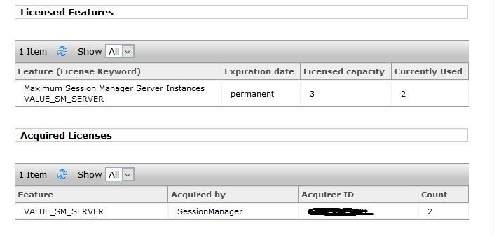 SIp license detail of Avaya.JPG