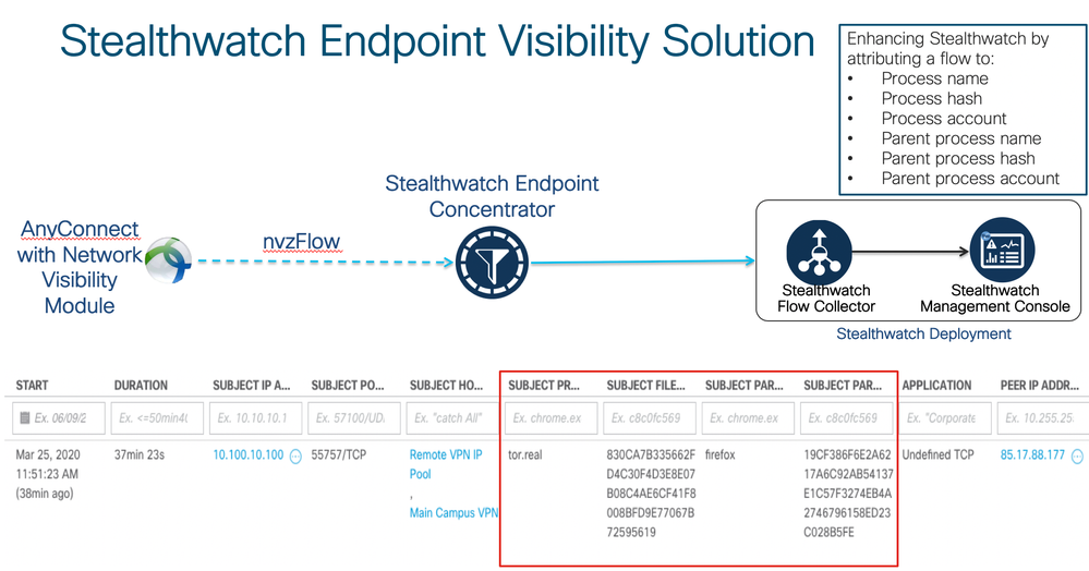 SW ENDPOINT VIEW.png