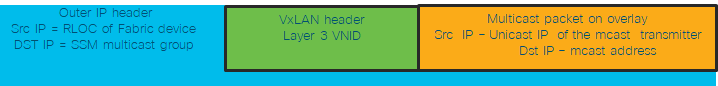 Figure 4: Packet Format- Native Multicast