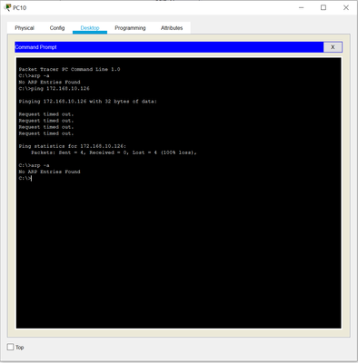 Vlan 10 PC Arp output.PNG