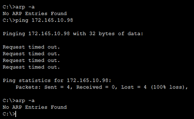 Vlan 10 server arp output.PNG