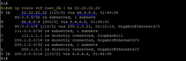 OSPF ShamLink R1.jpg