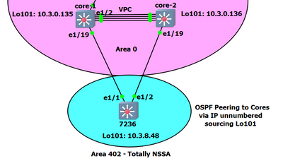 OSPF-loopback-issue.PNG