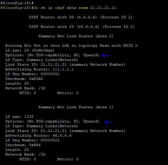 ospf upward.JPG