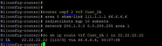OSPF OIA.JPG