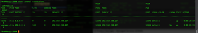 Screen Shot 2020-07-28 at 2.42.36 PM.png