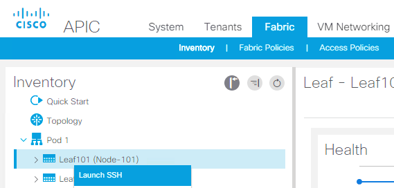 Fabric-Inventory-Pod1-Leaf101-Launch SSH.png
