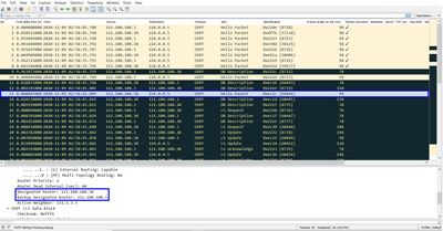 OSPF2.jpg