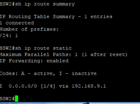 ip route inactive.PNG