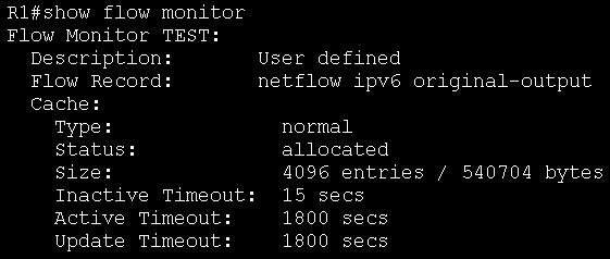 show flow monitor.jpeg