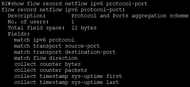 show flow record netflow ipv6 protocol-port.JPG