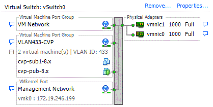 ESXi_Networking_NIC_Active_Active_syali.GIF