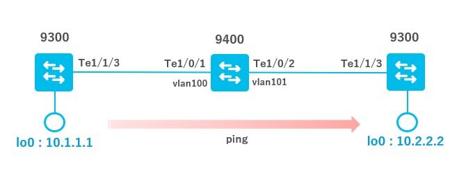 test-topology.jpg