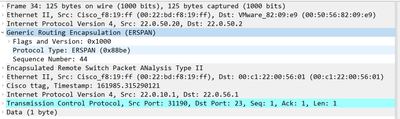 ACI-ERSPAN-packet-example.png